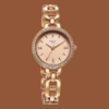 Titan Raga Showstopper Quartz Analog Rose Gold Dial Metal Strap Watch for Women 2